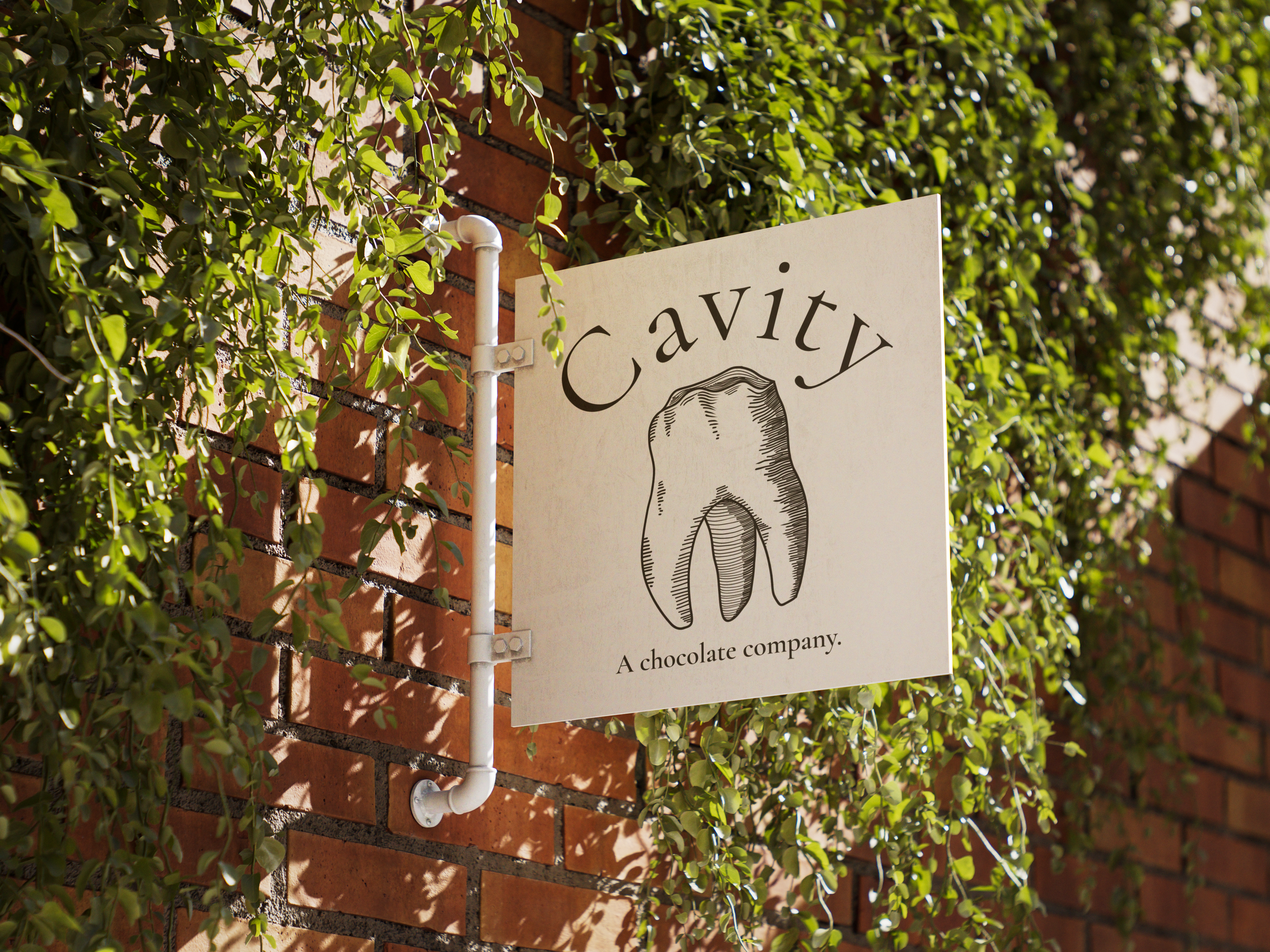 Cavity Project